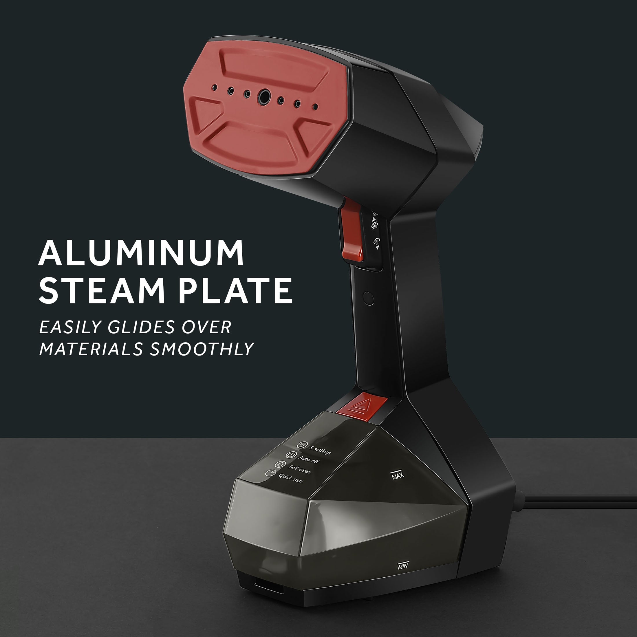 Professional Variable Temperature Steamer