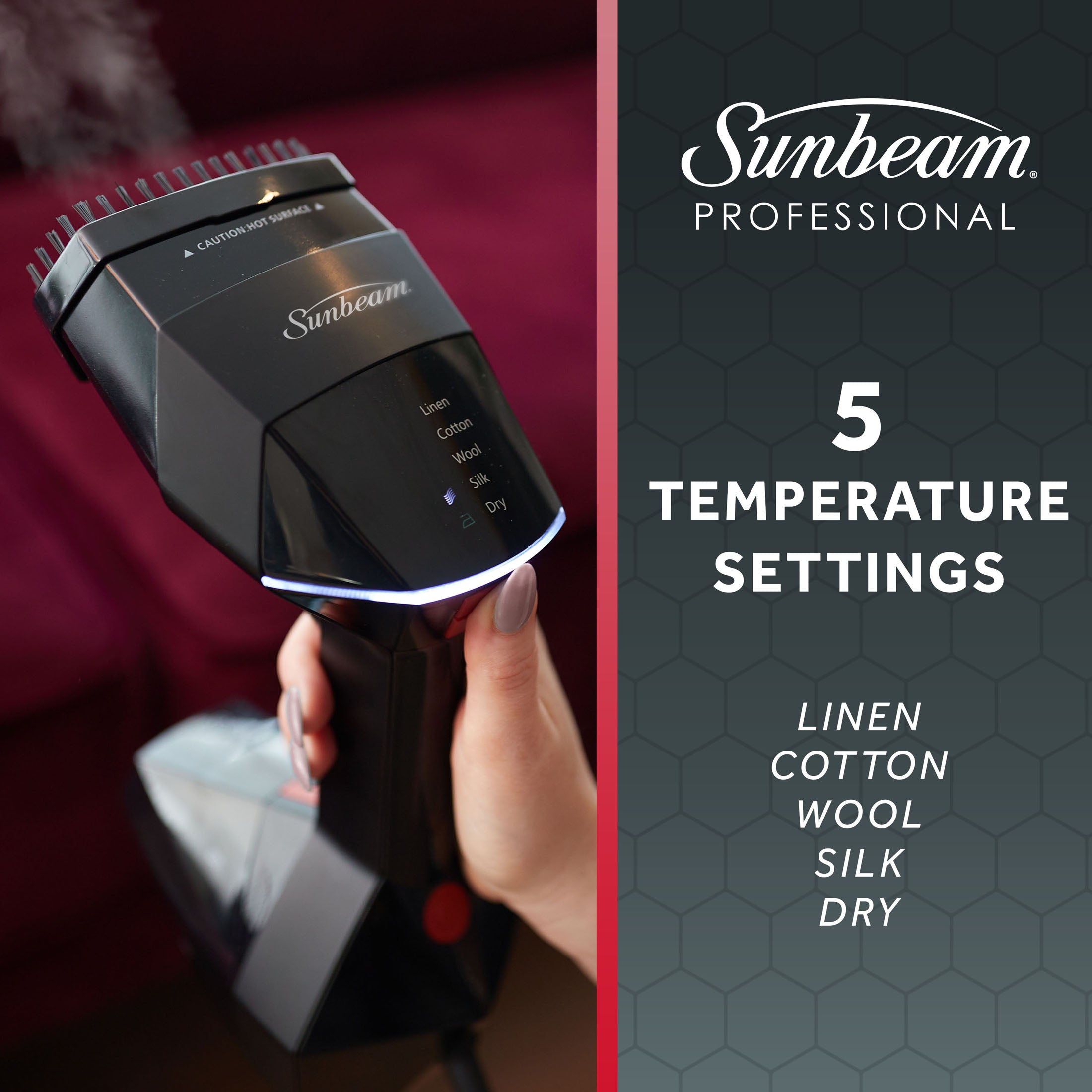 Professional Variable Temperature Steamer