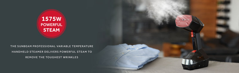 Professional Variable Temperature Steamer