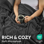 Sunbeam Heated Greystone Blanket Microplush 12 Heat Settings