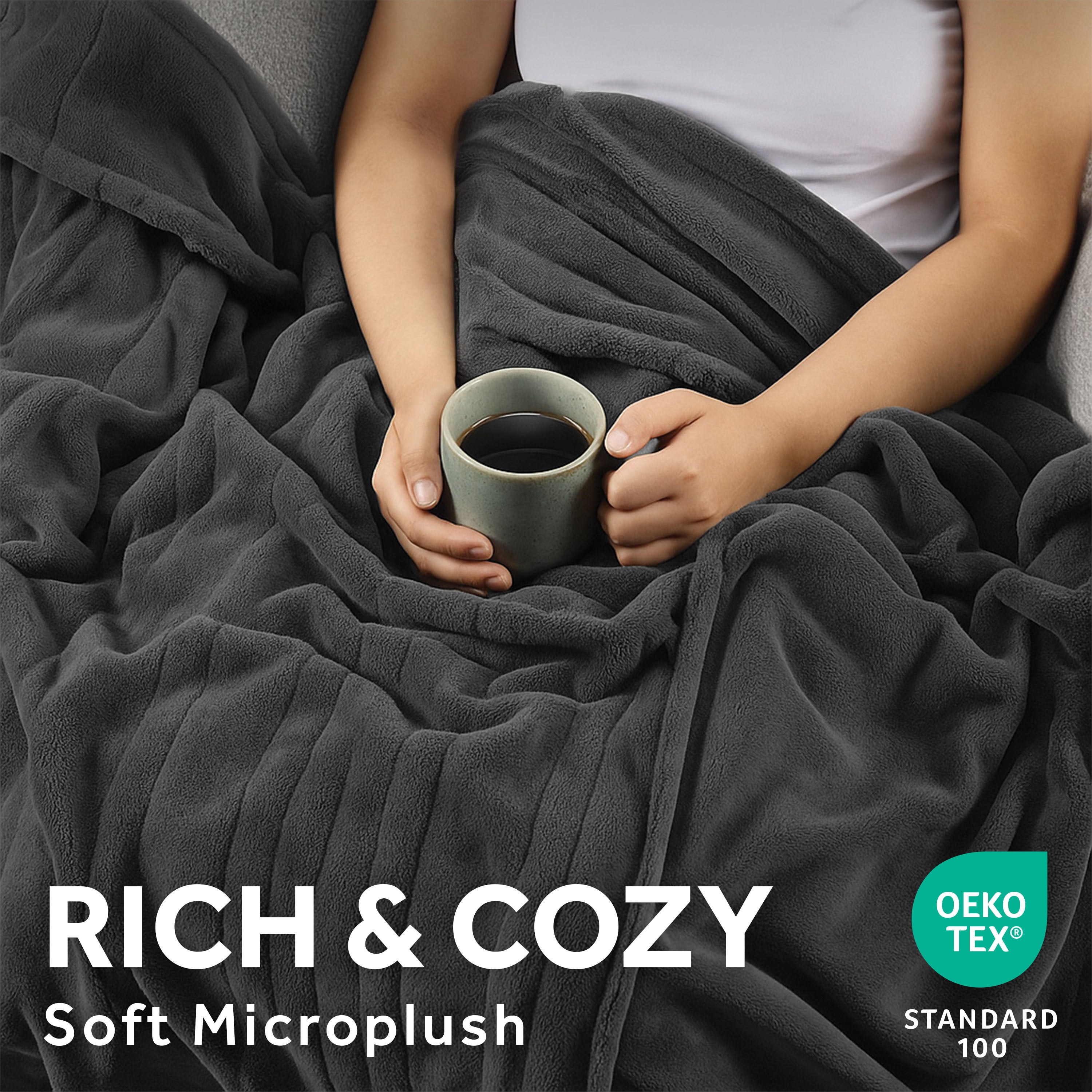 Sunbeam Heated Greystone Blanket Microplush 12 Heat Settings