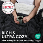 Sunbeam Heated Gray Throw Blanket Faux Shearling Foot Pocket 4 Heat Settings 50x70